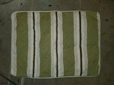 Restoration Hardware "Green Striped" Quilted Standard Sham - Image 1 of 4