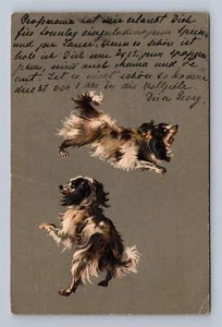 Vintage Postcard Dogs in Motion German Handwritten Note 1903 to Klein II - Picture 1 of 2