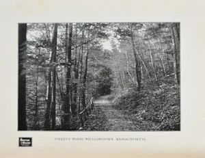Antigua impresión artística de Williamstown Massachusetts 1902 Boston & Maine Rail Road - Imagen 1 de 7
