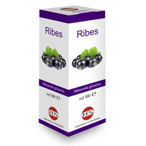 RIBES NERO - RIBES NIGRUM MACERATO GLICERICO 1 DH - contro l' Allergia - Foto 1 di 1