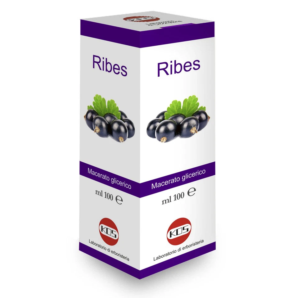 RIBES NERO - RIBES NIGRUM MACERATO GLICERICO 1 DH - FITOTERAPIA - ERBORISTERIA - Immagine 1 di 1