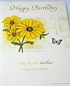 Geburtstagskarte. Gelbes Gänseblümchen Motiv. Nature's Notebook Sortiment. - Bild 1 von 5