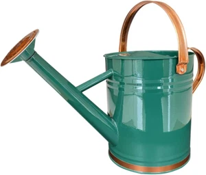 Metal Watering Can for Outdoor and Indoor Plants, Watering Can Decor, 1 Gallon ( - Picture 1 of 12