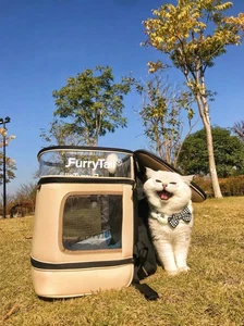 40 cm Large Foldable Detachable Cat Backpack For Adventurous Cats and Humans - Picture 1 of 11