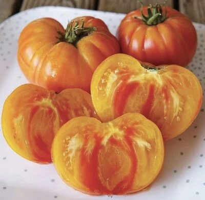 Pineapple Tomato Seeds, NON-GMO, Heirloom, Bi-Colored Beefsteak, FREE SHIPPING - Image 1 of 2