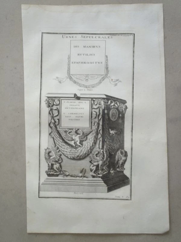 Urne röm. Grabstein Nekropole Greif Lorbeer Ornament Montfaucon Kupferstich 1722 - Bild 1 von 1