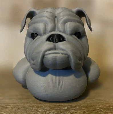 Bulldog Duck Foto 1 de 4