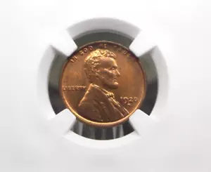 1920 "D" Lincoln WHEAT Cent Penny 1c NGC MS64 RB #016 Red Brown BU Unc ECC&C Inc - Imagen 1 de 5