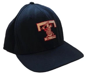 VTG Toledo Ohio Mud Hens Snapback Hat Cap, Minor League Baseball - Picture 1 of 3