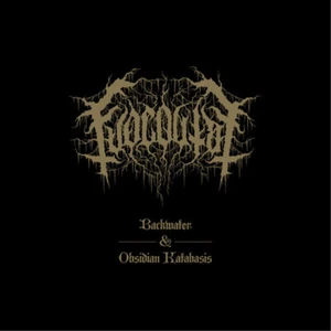 Fuoco Fatuo Backwater/Obsidian Katabasis (Cassette) (UK IMPORT) - Picture 1 of 1