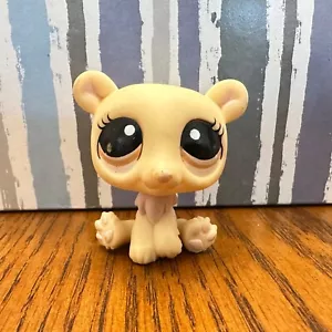 Littlest Pet Shop Hasbro LPS Figur Bear 1131 - Picture 1 of 6