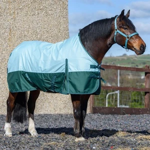 Alfombra ligera 600D para caballos 0 g alfombras resistentes al agua Pista AquaGreen 5'6-6'9 - Imagen 1 de 12