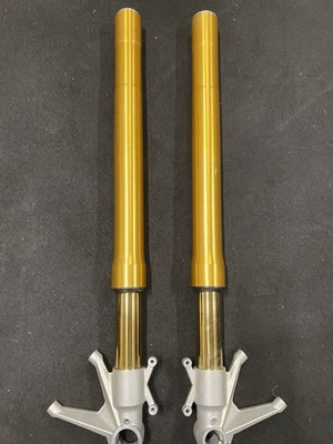 Forcella Ohlins Ducati 1198 1098 FG 511 - Immagine 1 di 4
