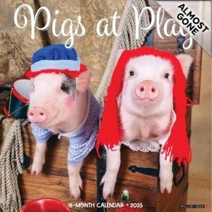 Pigs at Play 2025 Wall Calendar 12" - Imagen 1 de 2