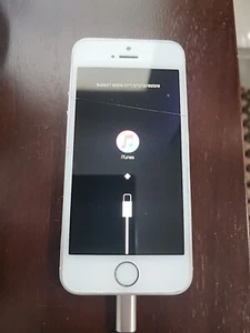 Apple iPhone 5s - 16 GB - Gray (AT&T) - Photo 1 sur 8