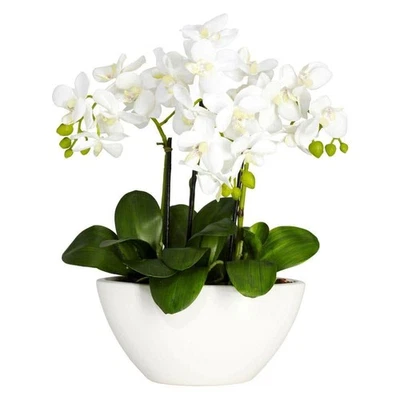Arreglo Flor Seda Phalaenopsis Blanca Artificial Casi Natural Planta 16"H Foto 1 de 4