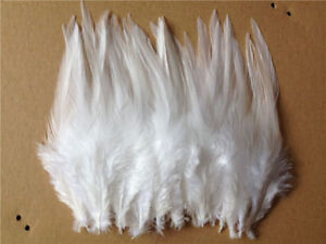 Beautiful 50pcs/100pcs rooster tail feathers 10-15cm / 4-6inch 30 Colors