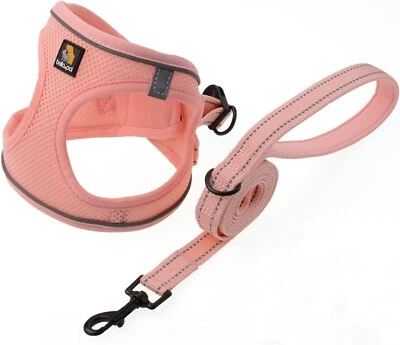 Puppy Harness with Leash Set, Dog Harness for Small Dogs (Pink, Size L) - Image 1 of 4