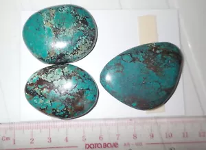 Turquoise Stone Flat Free Form Cabochon 248.5 Carat 3 pieces 49.7 gram - Imagen 1 de 3