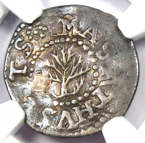1652 Massachusetts Oak Tree Silver Threepence 3P - Certified NGC VF Details Cover
