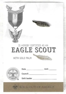 SCOUTS BSA ADLER RANG AUSZEICHNUNG GOLD PALME PIN NEU AKTUELL MIT KARTE - Bild 1 von 5