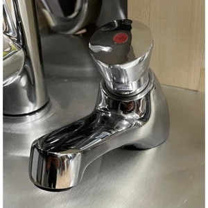RUB TEMP 15SEC LAVABO C PULS - Imagen 1 de 3