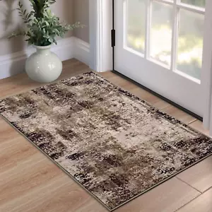 Entrance Rugs Indoor 2x3 Brown Entry Rug Washable Abstract Coffee Small Area Rug - Picture 1 of 9
