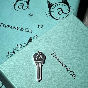 Ciondolo esagonale chiave limitata Tiffany Cat Street argento sterling 925 gioielli E663 - Foto 1 di 9