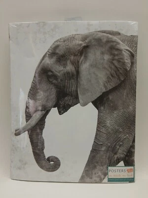 Pack of 5 Frameable Art Posters Elephant Giraffe Panther Various Sizes NEW  - Image 1 of 4