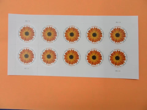 10 USPS 2022 Global Forever Stamps African Daisy - Peel & Stick (1 Sheet of 10) Cover