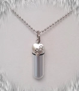 COLLAR URNA DE CREMACIÓN CON CADENA DE BOLA DE 24" Paws on Silver Heart con bolsa y kit de relleno - Imagen 1 de 4