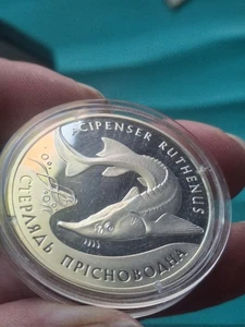 2012 UKARINE 10 Hryven Sterlet Sturgeon Fish Sterling Silver Proof Coin - Picture 1 of 4
