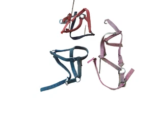 Lot of 3 Nylon Horse Halters Rodeo Riding Camp Pony Equine Saddle Medium Size - Picture 1 of 5