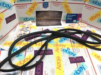 Chrysler Town & Country 2001 2002 2003 2004 2005 06 07 * ¡Sello de puerta delantera derecha! Foto 1 de 4