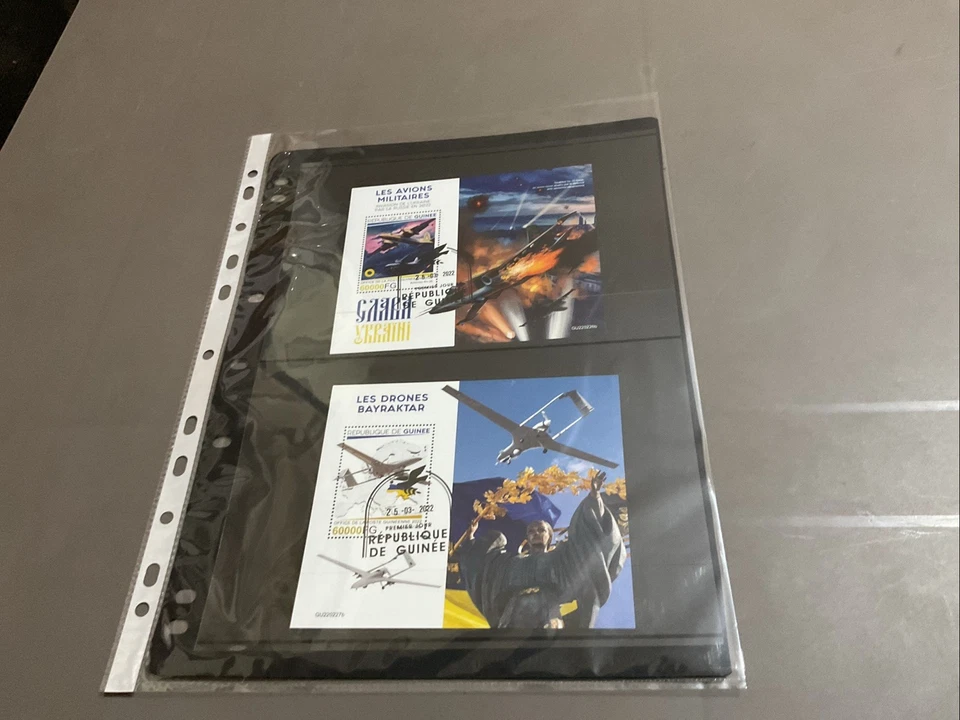 Mini hojas de sello Rep De Guinea X 2 CTO circ 2022 Foto 1 de 1