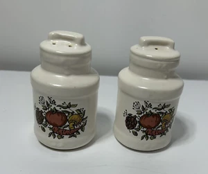 Vintage  Spice of Life Ceramic Salt and Pepper Shaker - Picture 1 of 5