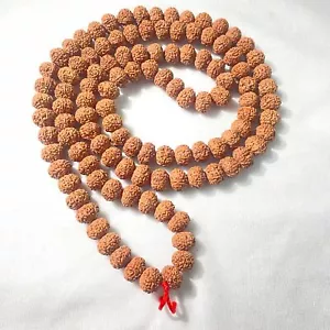LABORZERTIFIZIERT Java 9 Mukhi Göttin Durga RUDRAKSHA ROSENKRANZ 108+1 Gebetsperlen a47 - Bild 1 von 4