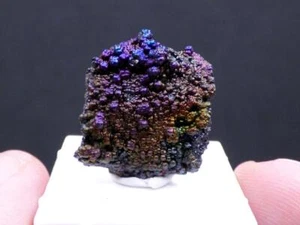 FDMINERALS: TOP Iridescent GOETHITE - La Lapilla Mine - Tharsis - Spain - esp305 - Picture 1 of 6