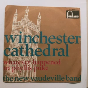 Vendo Vinile 45 Giri Winchester Cathedral - Foto 1 di 2