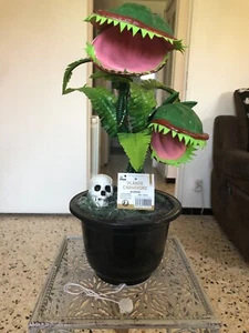 Décoration Halloween animée plante carnivore. - Imagen 1 de 1