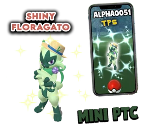 Pokemon Shiny Floragato Liko Hat Mini P T C 80k - Picture 1 of 1