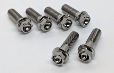 Juego completo de pernos calibradores de freno de titanio Suzuki TL1000r TL1000s Foto 1 de 4