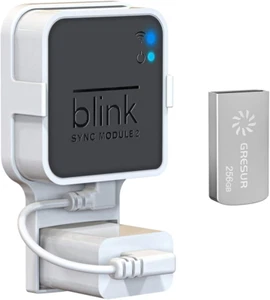 256GB USB Flash Drive for Local Video Storage with the Blink Sync Module 2 Mount - Afbeelding 1 van 12