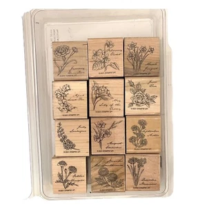 Stampin' Up! Set di 12 timbri per montaggio in legno 'FIORE DEL MESE' senza macchie annotate - Foto 1 di 2