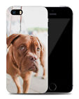 Case Cover For Apple Iphone|cute Adorable Boxer Dog Puppy #4