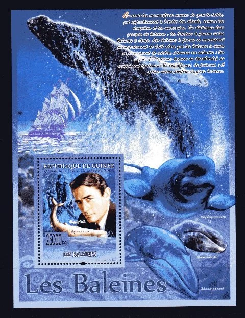 Guinea 2008 Whales Block No. 855 Новый ** 1-й выбор MNH - Изображение 1 из 1