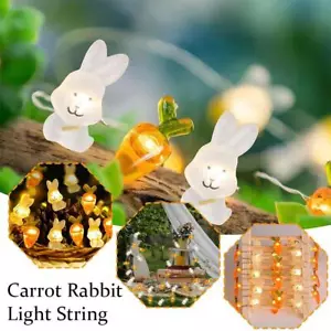 Spring fairy lights spring decoration fairy lights Easter eggs bunny ornaments #- - Picture 1 of 27