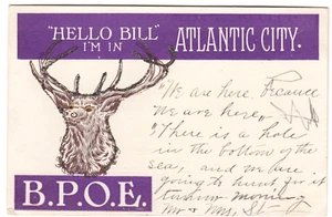 Elche / B.P.O.E. BPOE Atlantic City New Jersey Vintage Postkarte "Hello Bill.." - Bild 1 von 2