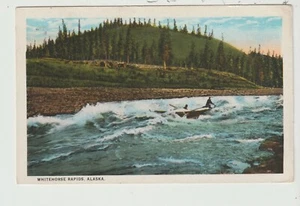 CARTOLINA WHITEHORS RAPIDS ALASKA - Foto 1 di 2