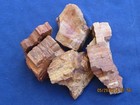 PETRIFIED WOOD FOSSIL FIFTY WHOLESALE PIECES